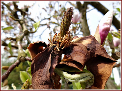 Orte wo Heimat - Fremde